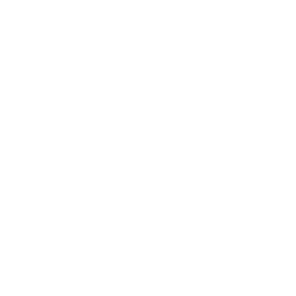 TRUE Original Document QRCODE