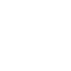 TRUE Original Document QRCODE