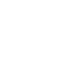 TRUE Original Document QRCODE