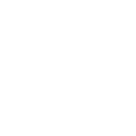 TRUE Original Document QRCODE