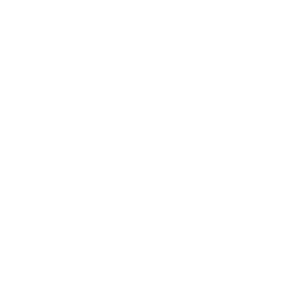 TRUE Original Document QRCODE