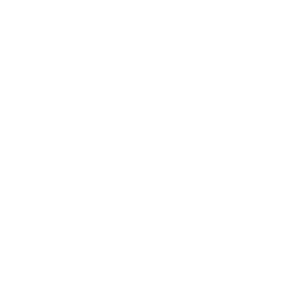 TRUE Original Document QRCODE