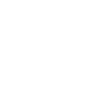 TRUE Original Document QRCODE