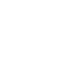 TRUE Original Document QRCODE