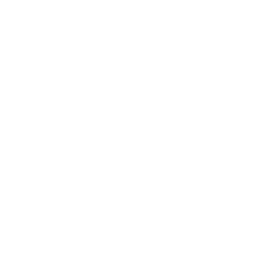 TRUE Original Document QRCODE