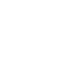 TRUE Original Document QRCODE
