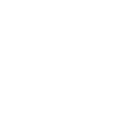 TRUE Original Document QRCODE