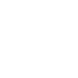 TRUE Original Document QRCODE