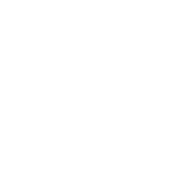 TRUE Original Document QRCODE