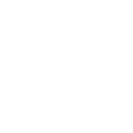 TRUE Original Document QRCODE