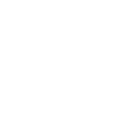 TRUE Original Document QRCODE