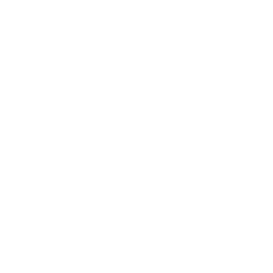 TRUE Original Document QRCODE
