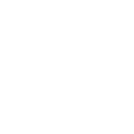 TRUE Original Document QRCODE