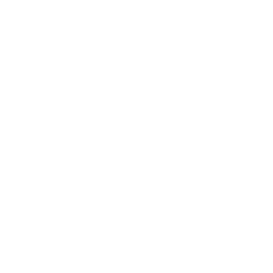 TRUE Original Document QRCODE