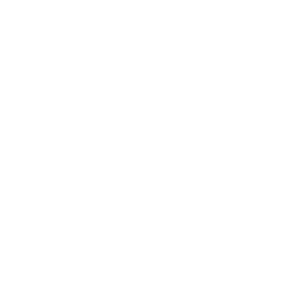 TRUE Original Document QRCODE